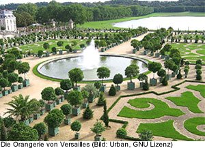 Versailles Park Orangerie Informationen